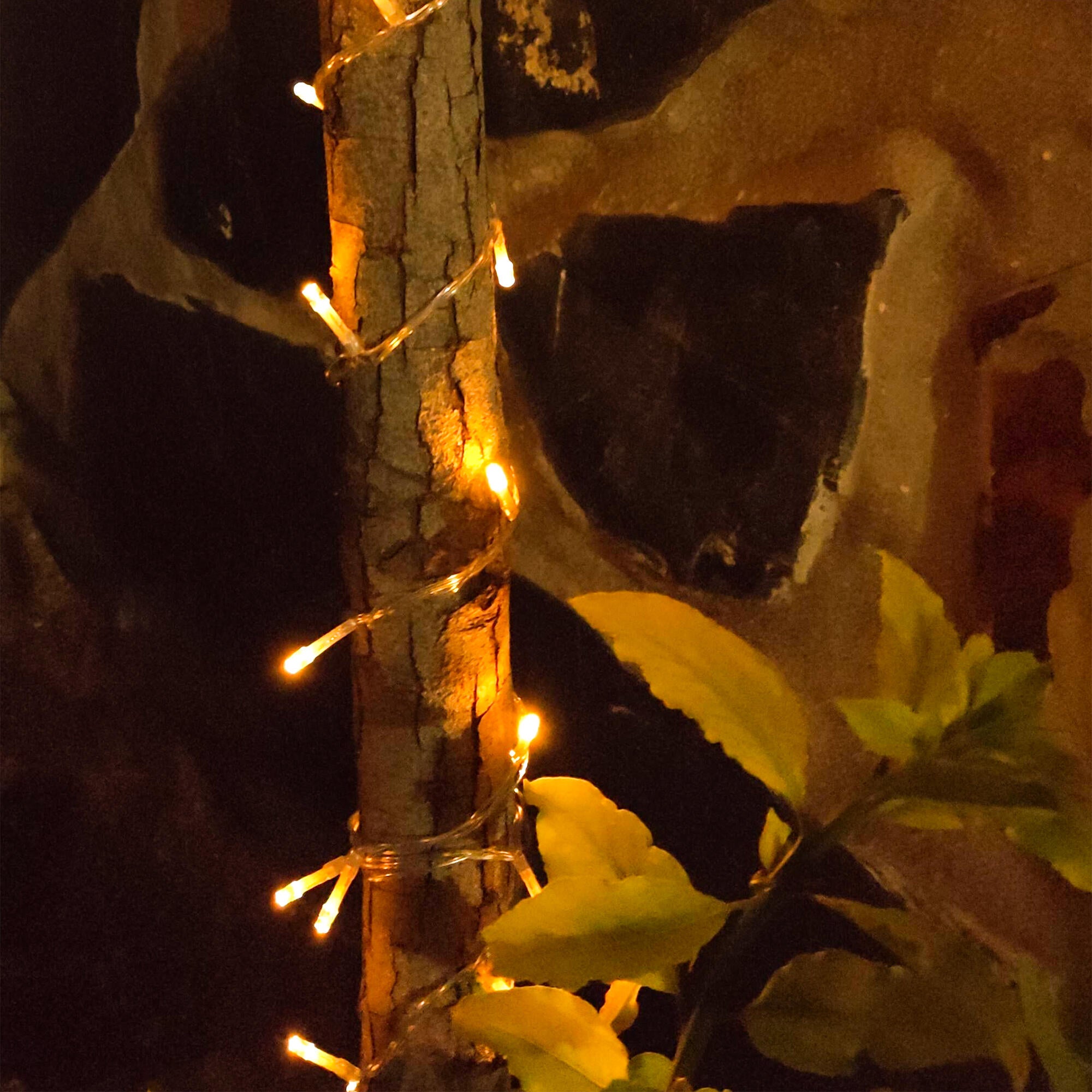 Guirnalda solar exterior LED blanco frío con sensor crepuscular Lira IP65 12h. autonomía - 2