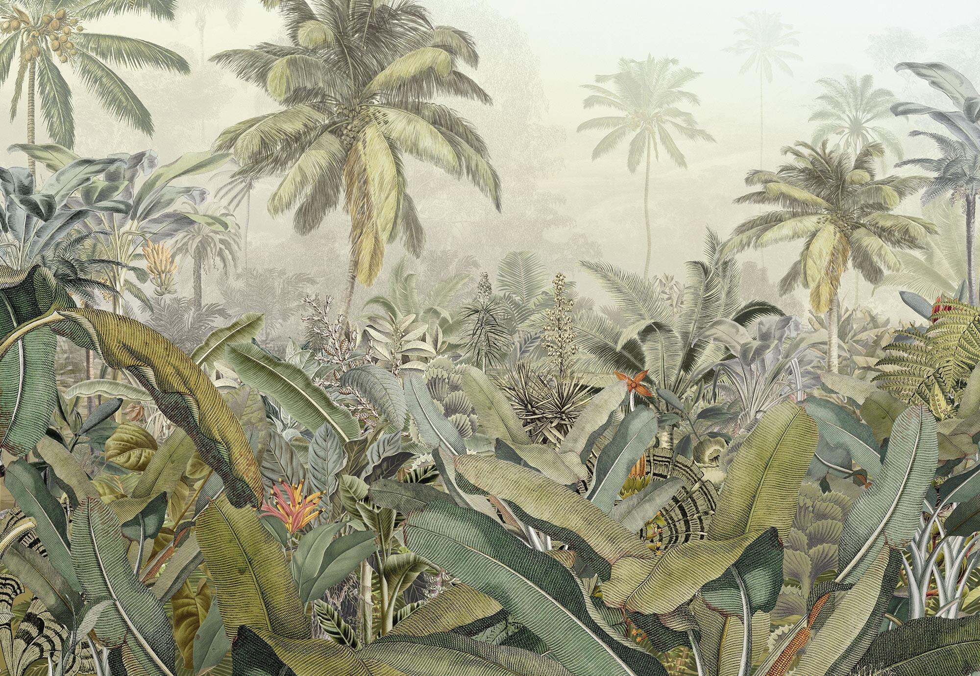 Fotomurale KOMAR Amazonia, Multicolore 368X248 cm - 11