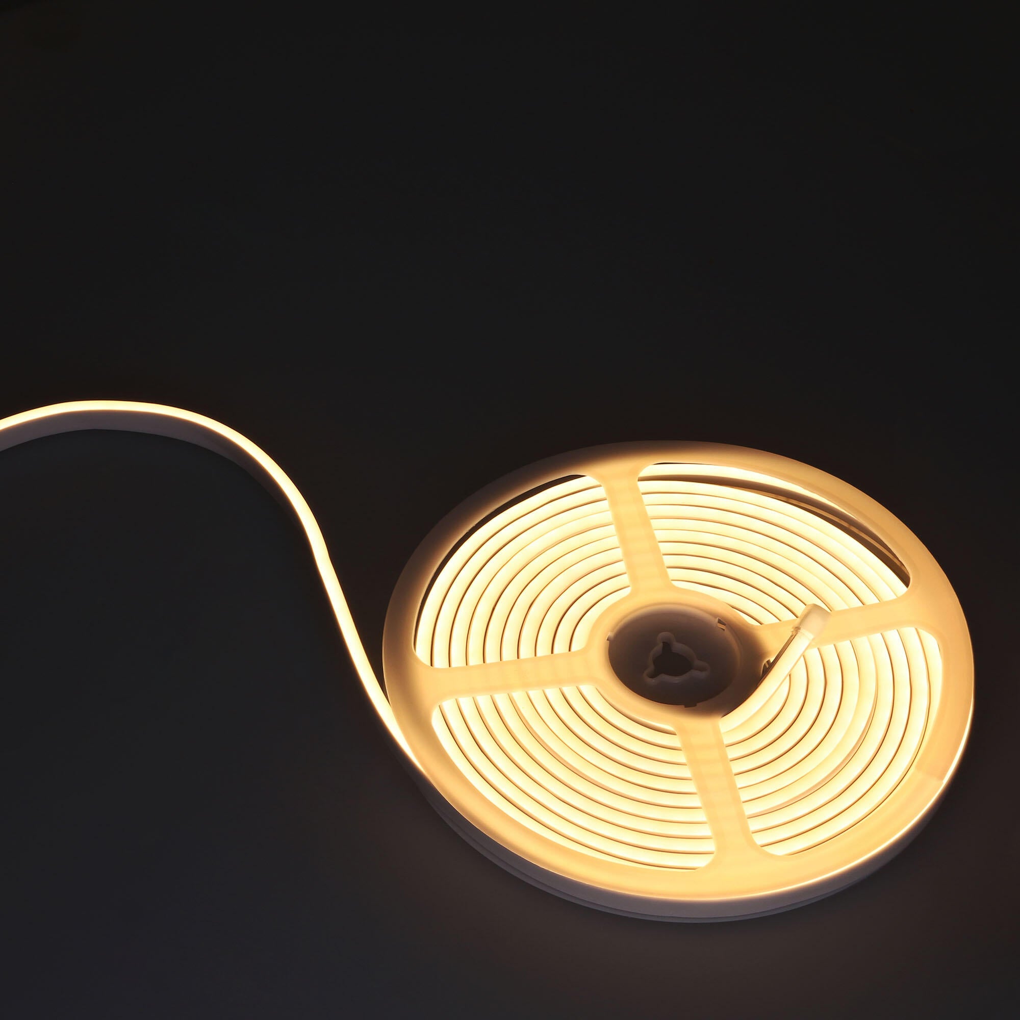 Tira led neon 3000k ip65 5m