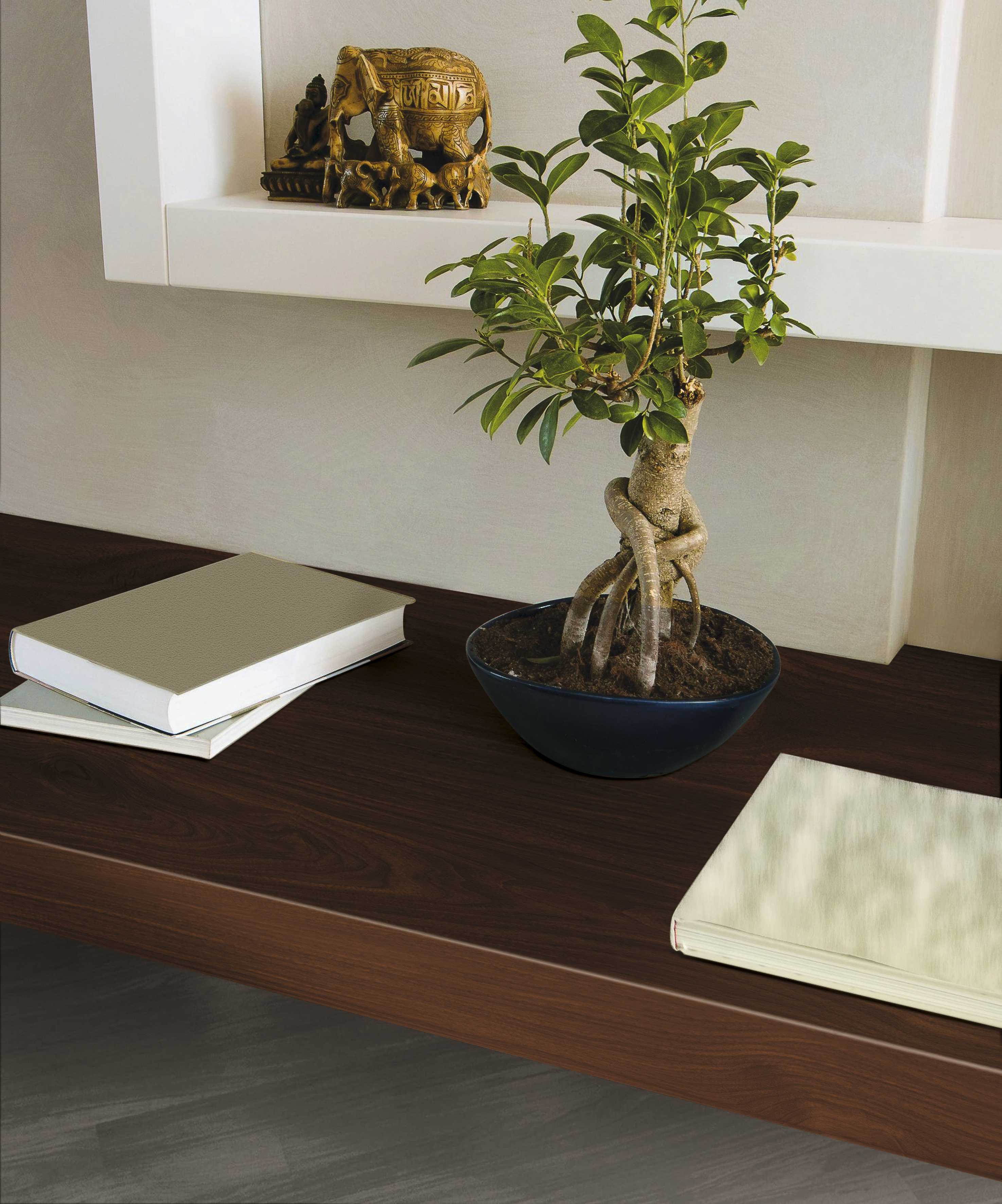 Adhesivo decorativo en rollo PVC Imitación material Madera Abedul color Marrón mate. De 0.90 x 2.10 m. Recomendado: para decorar un mueble y un objeto. D-C-FIX - 2