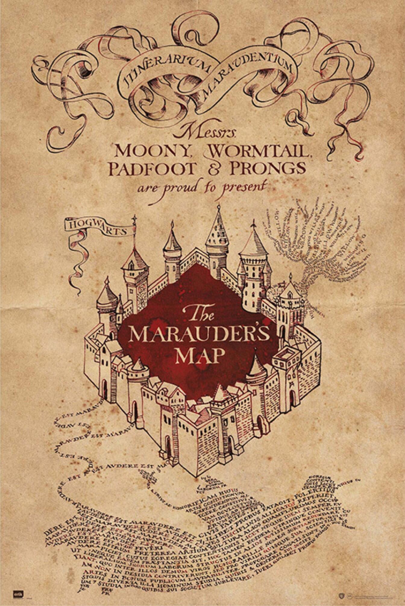 Póster Cine rectangular de 61 x 91.5 cm. Papel Harry Potter Mapa Merodea multicolor - 2