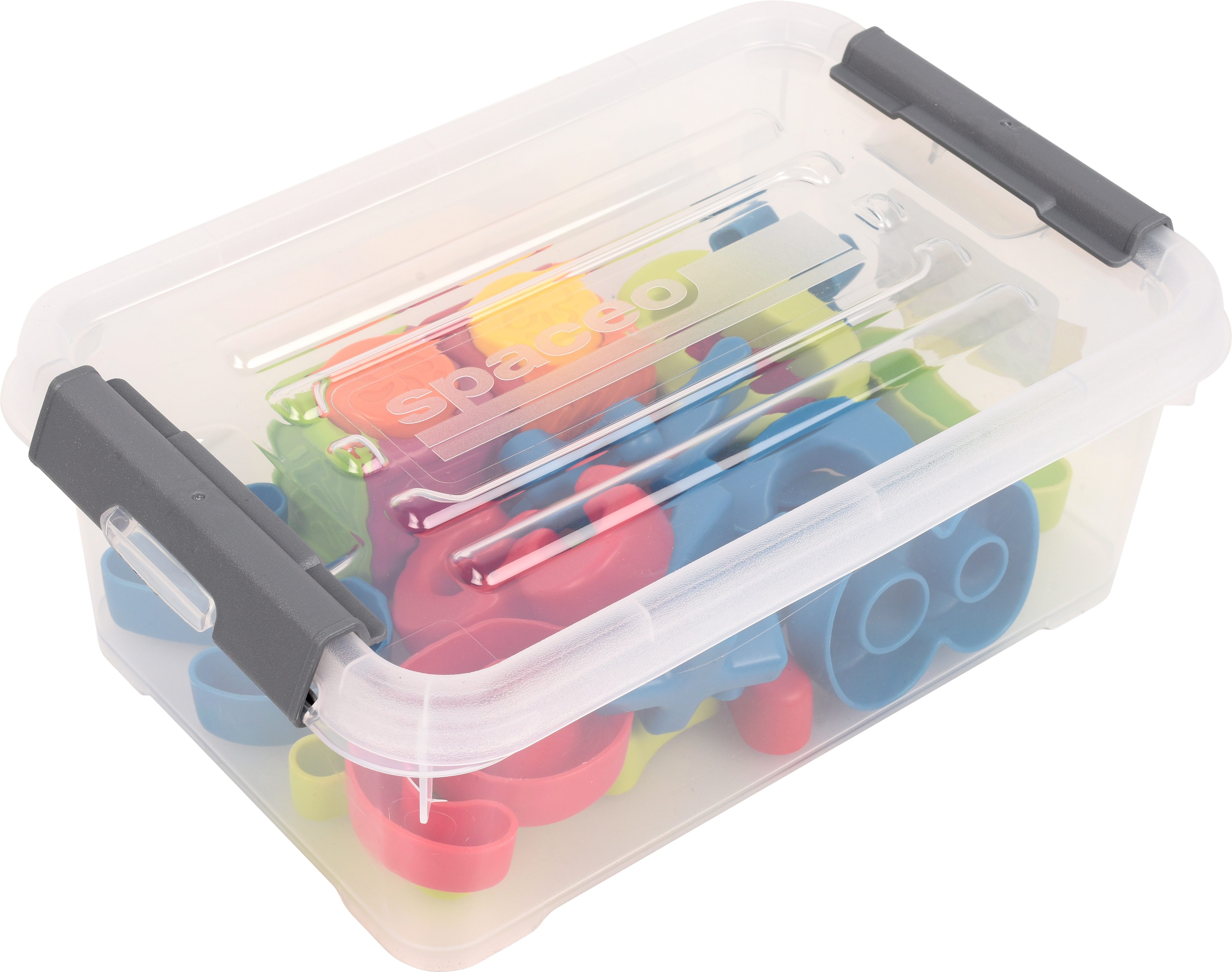 Caixa de arrumação SPACEO 29X40X25CM - 10