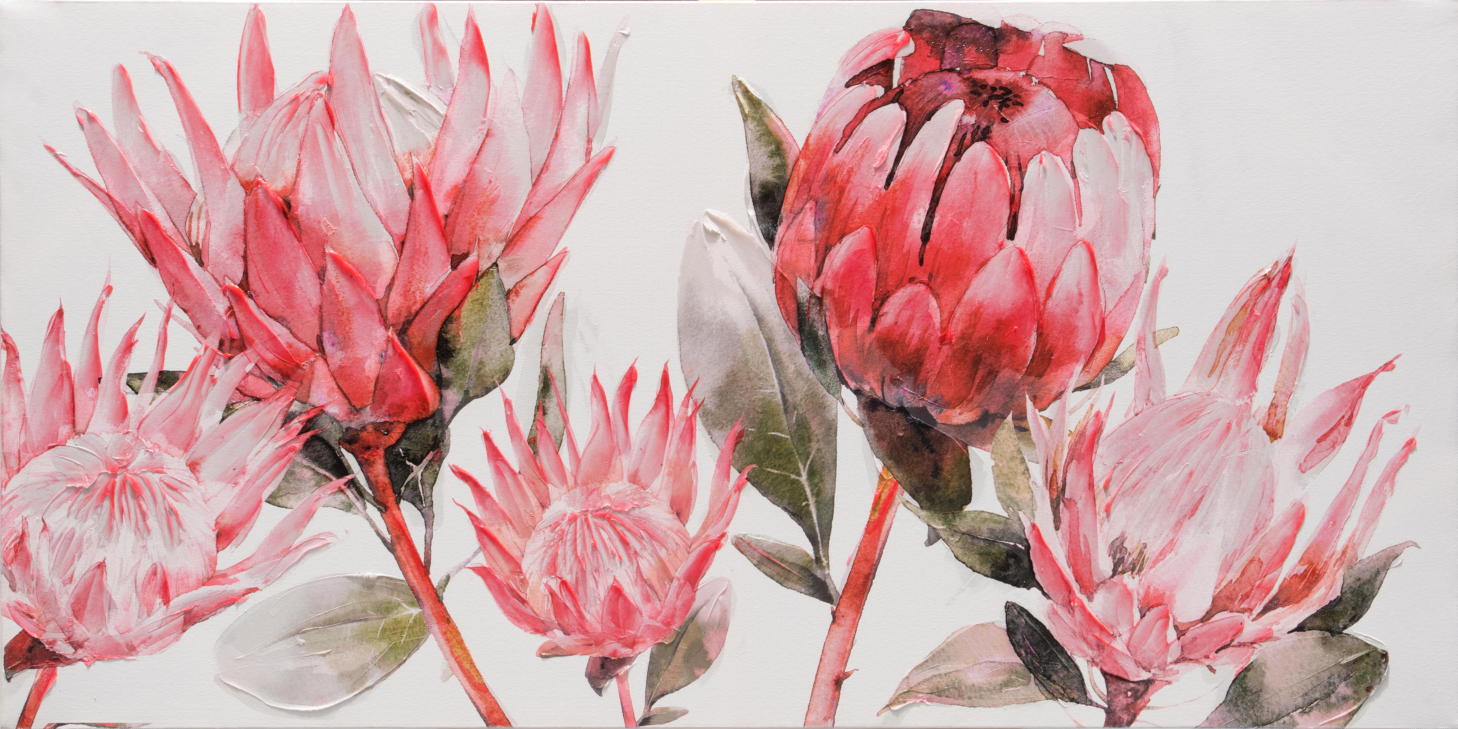 Botânico, plantas ou floral