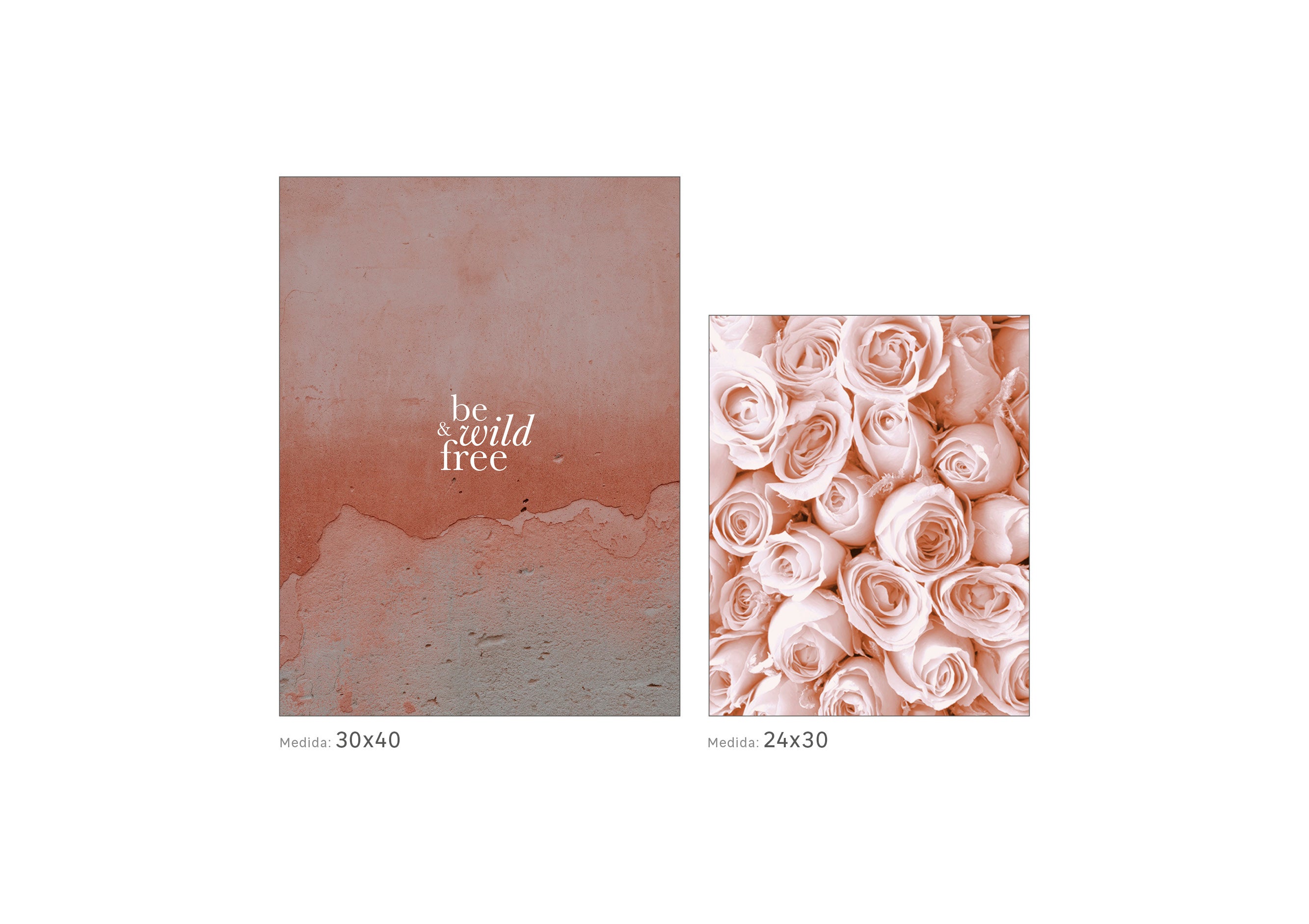 2 imagens ROSAS - 2