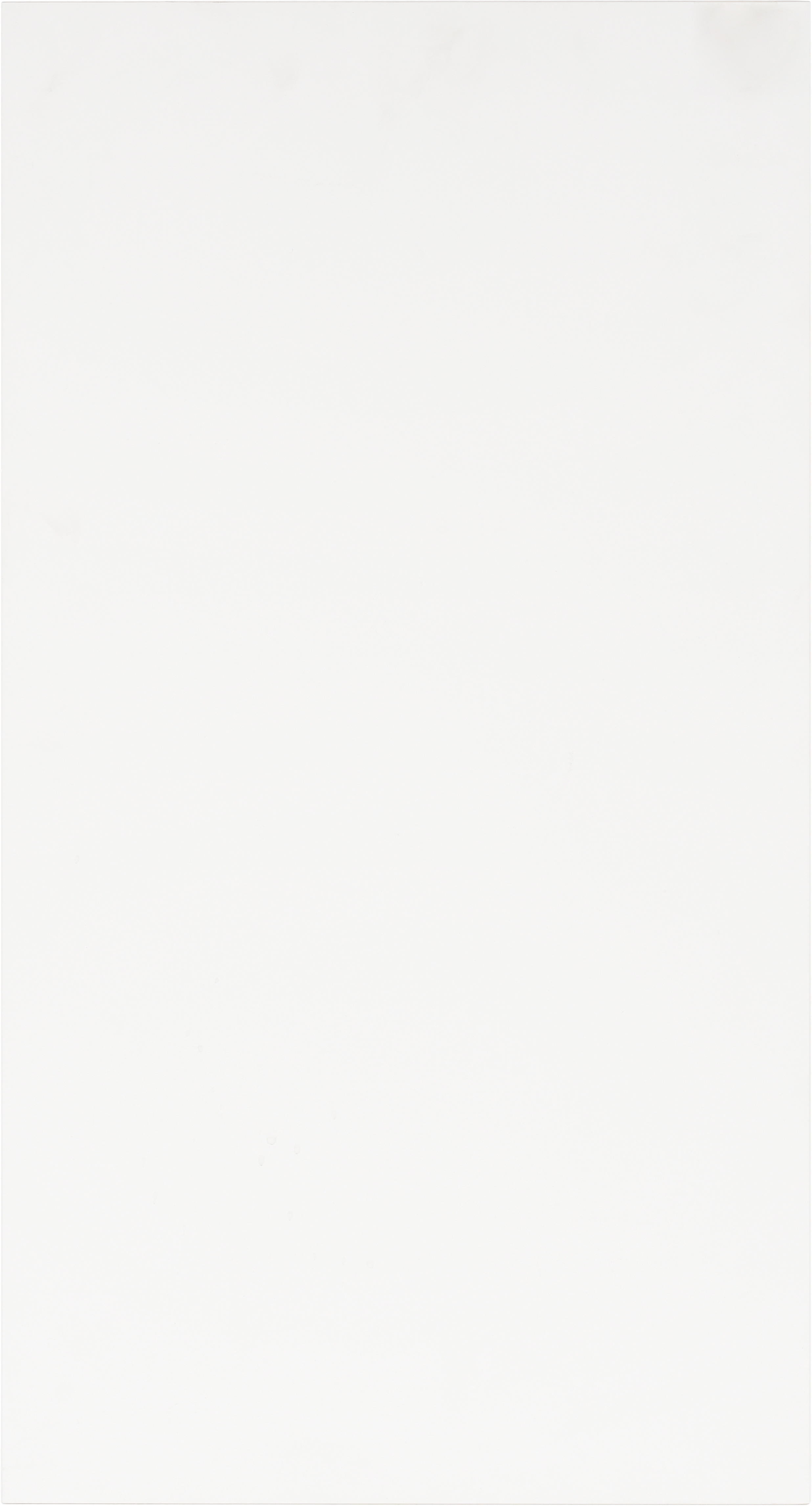 Puerta para mueble de cocina Sofia blanco mate H 76.8 x L 40 cm - 20
