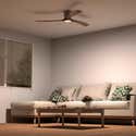 Paravento in legno marrone 4 ante 170x160 cm PAR04033 Paravento in legno marrone 4 ante 170x160 cm PAR04033