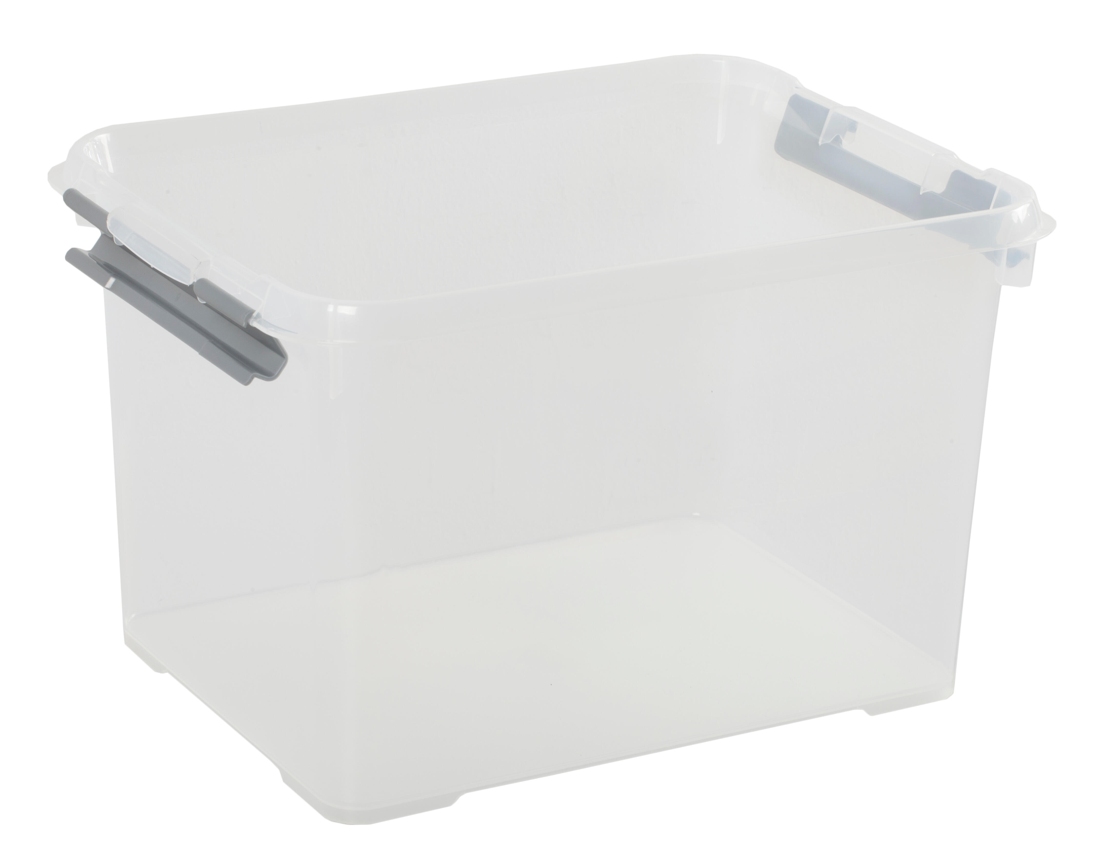 Caixa de arrumação SPACEO 29X40X25CM - 13