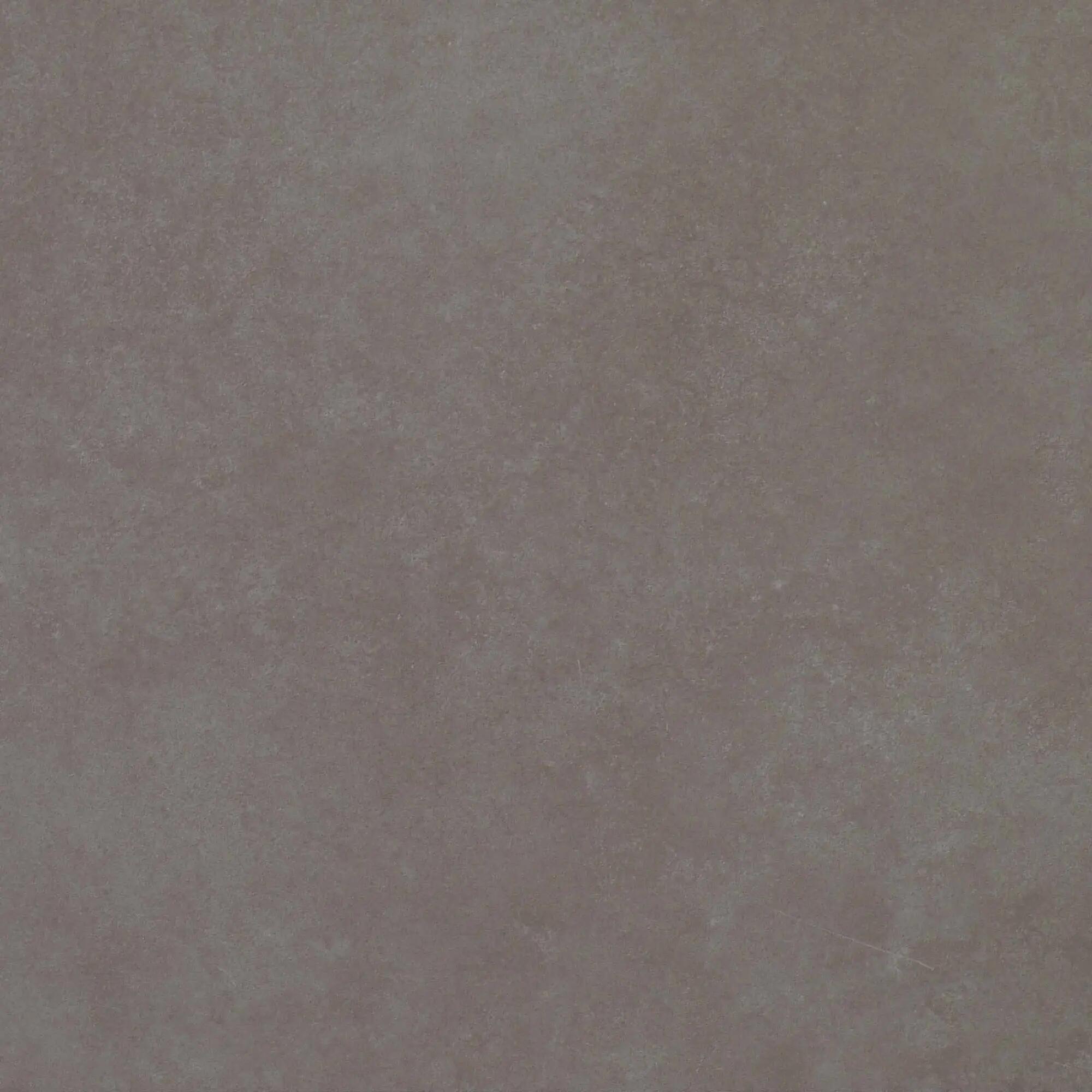 61.5