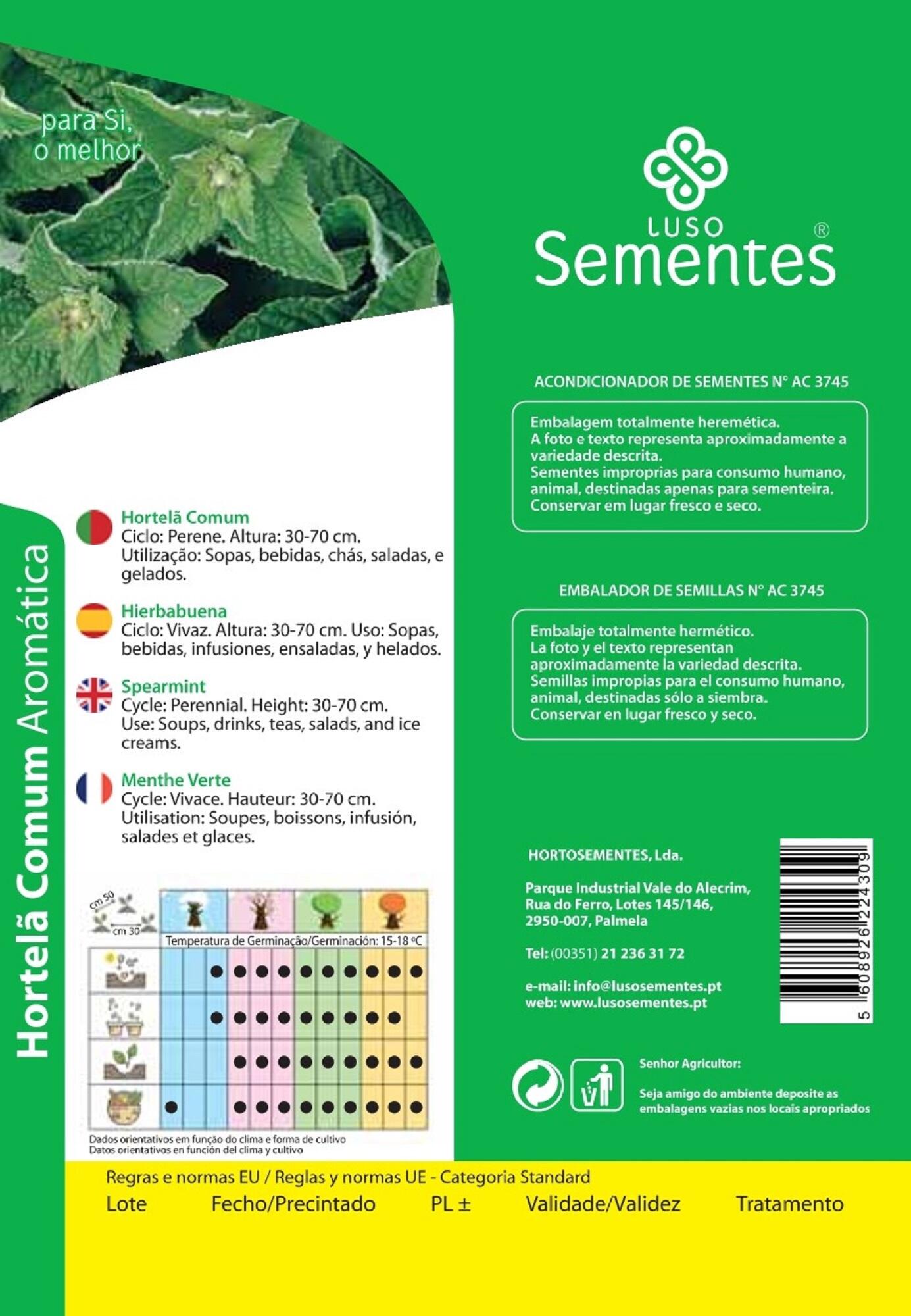 Sementes de hortelã LUSO SEMENTES COMUM - 2