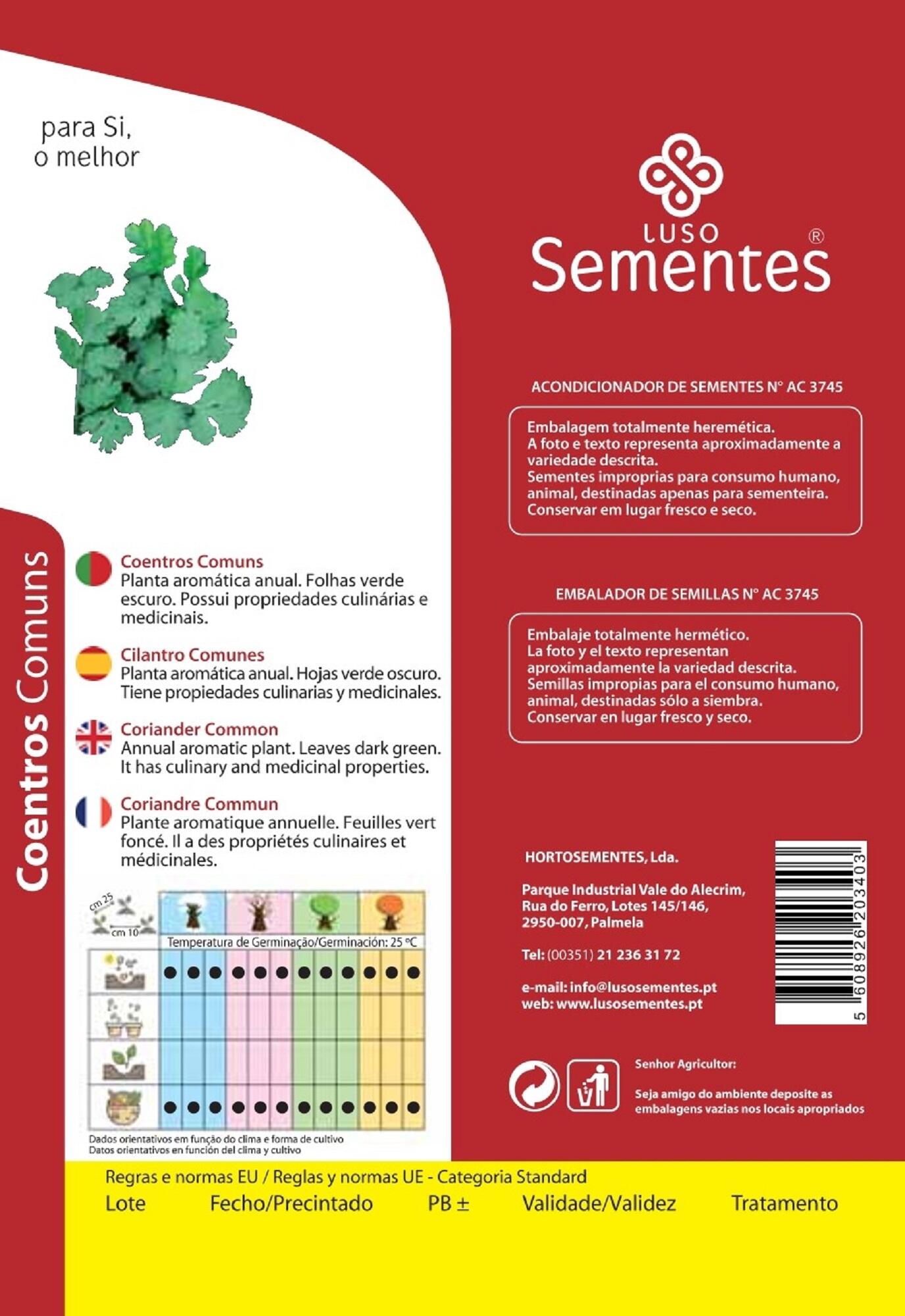Sementes de coentros LUSO SEMENTES COMUNS 10GR - 2
