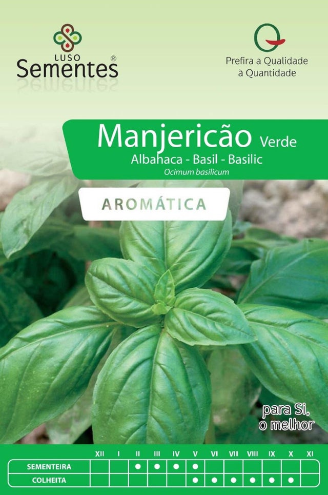 Sementes de manjericão LUSO SEMENTES VERDE