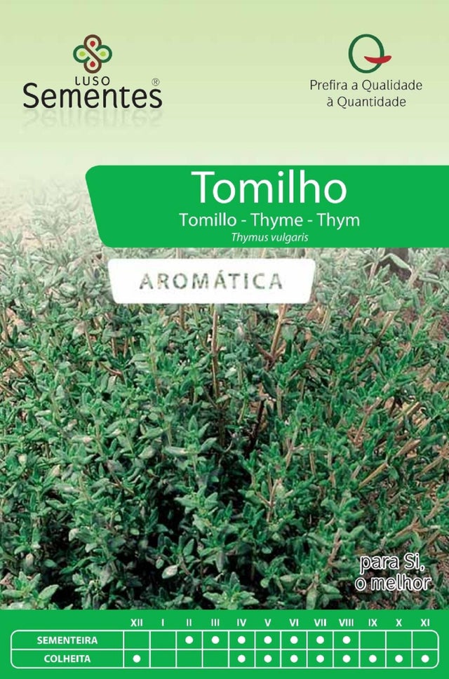 Sementes de tomilho LUSO SEMENTES AROMÁTICAS