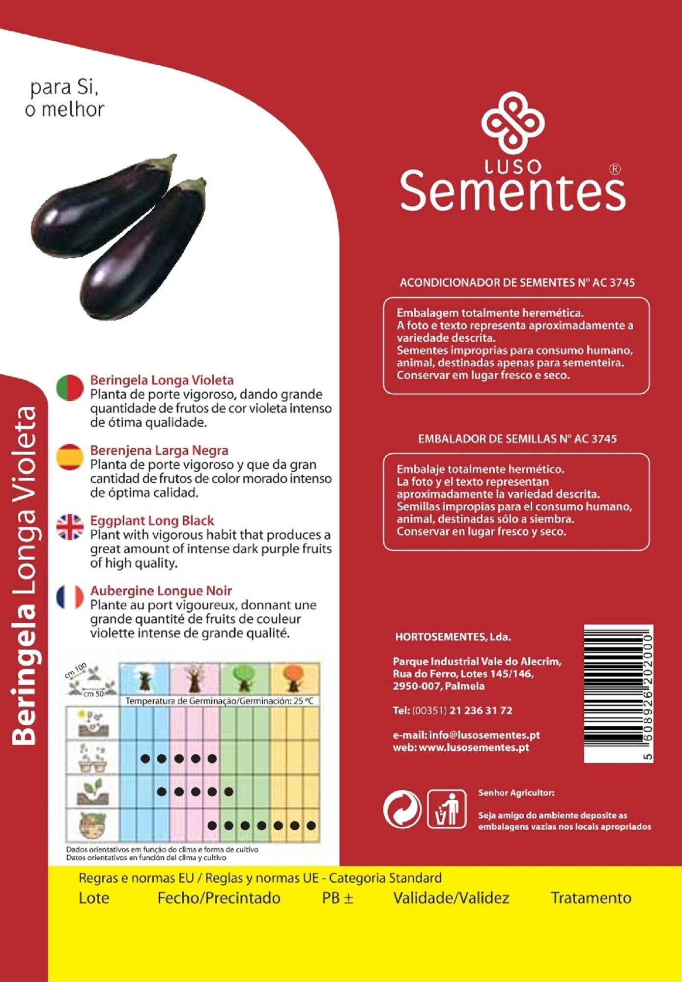 Semente de beringela longa violeta 10g Luso Sementes - 2