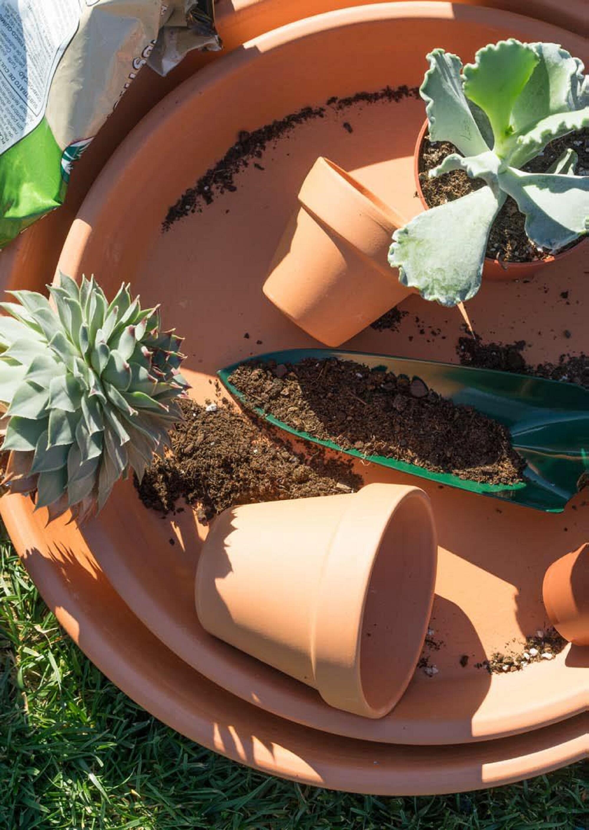 Prato de barro STANDARD 42CM TERRACOTA - 2