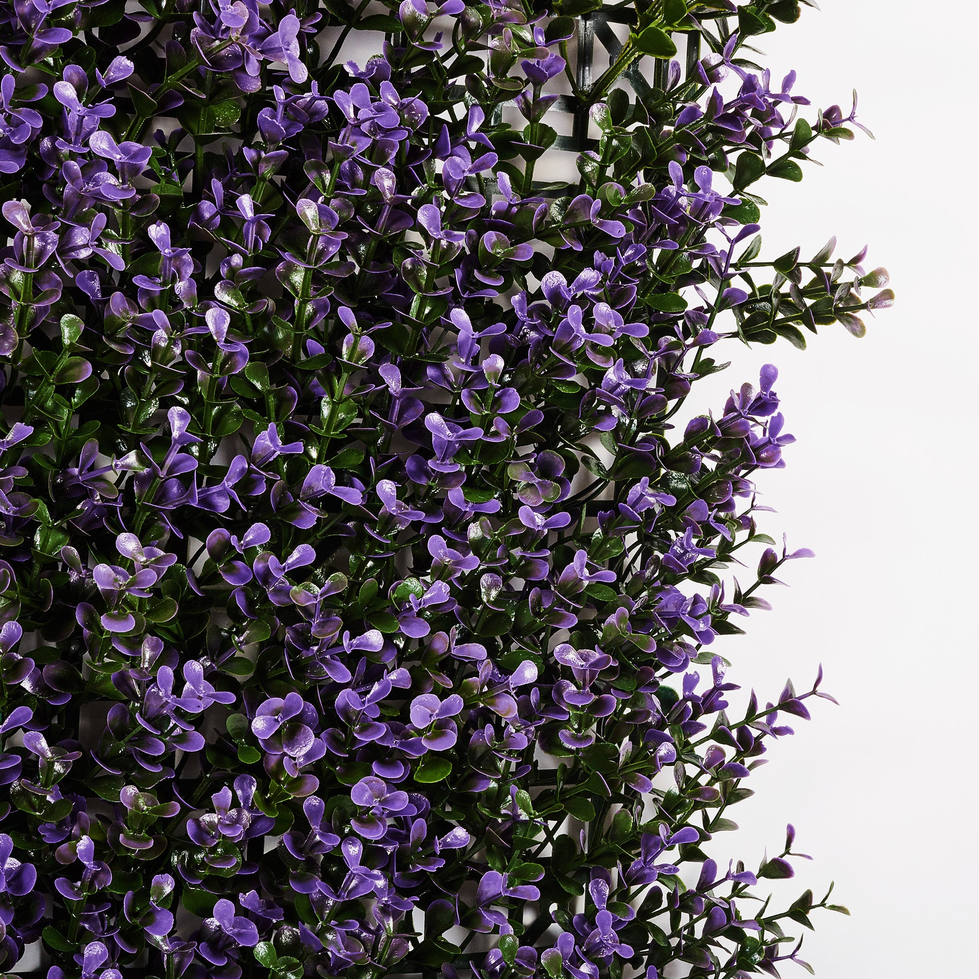 Jardim vertical CATRAL VINCA 100X100CM - 6