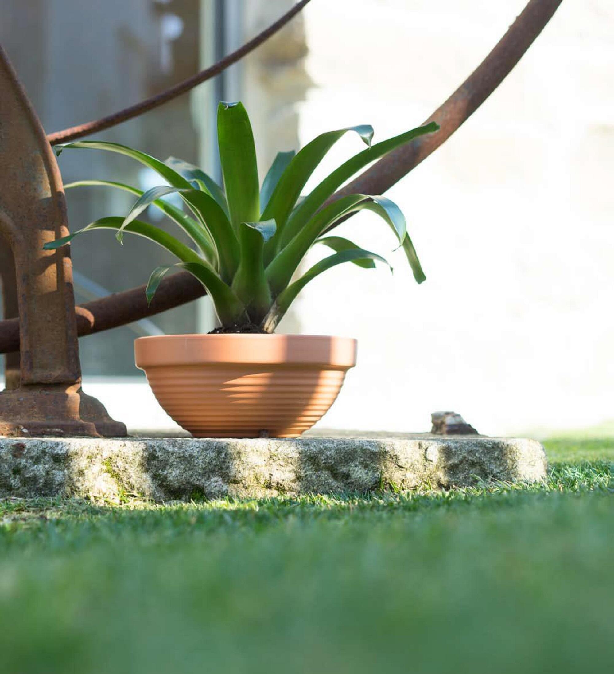 Vaso de barro TAÇA ONDULADA 28CM TERRACOTA - 2