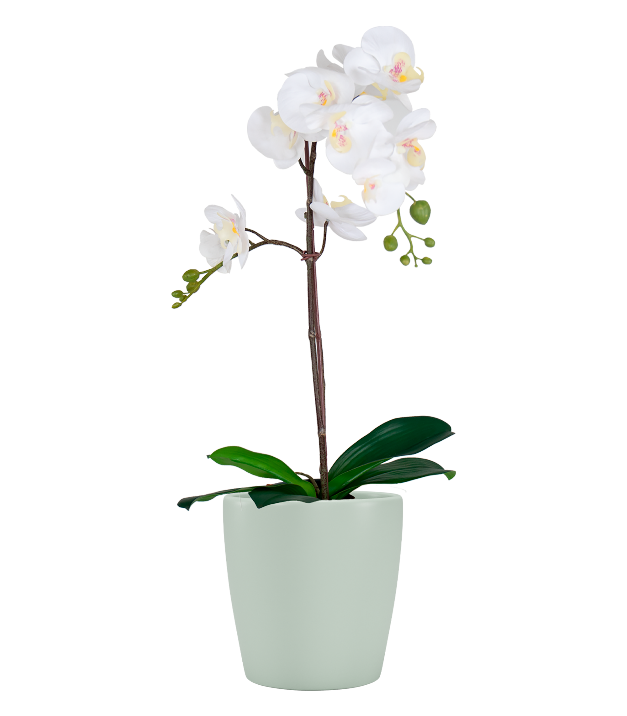 Vaso de cerâmica THALIA ORQUÍDEA 14CM VERDE - 5