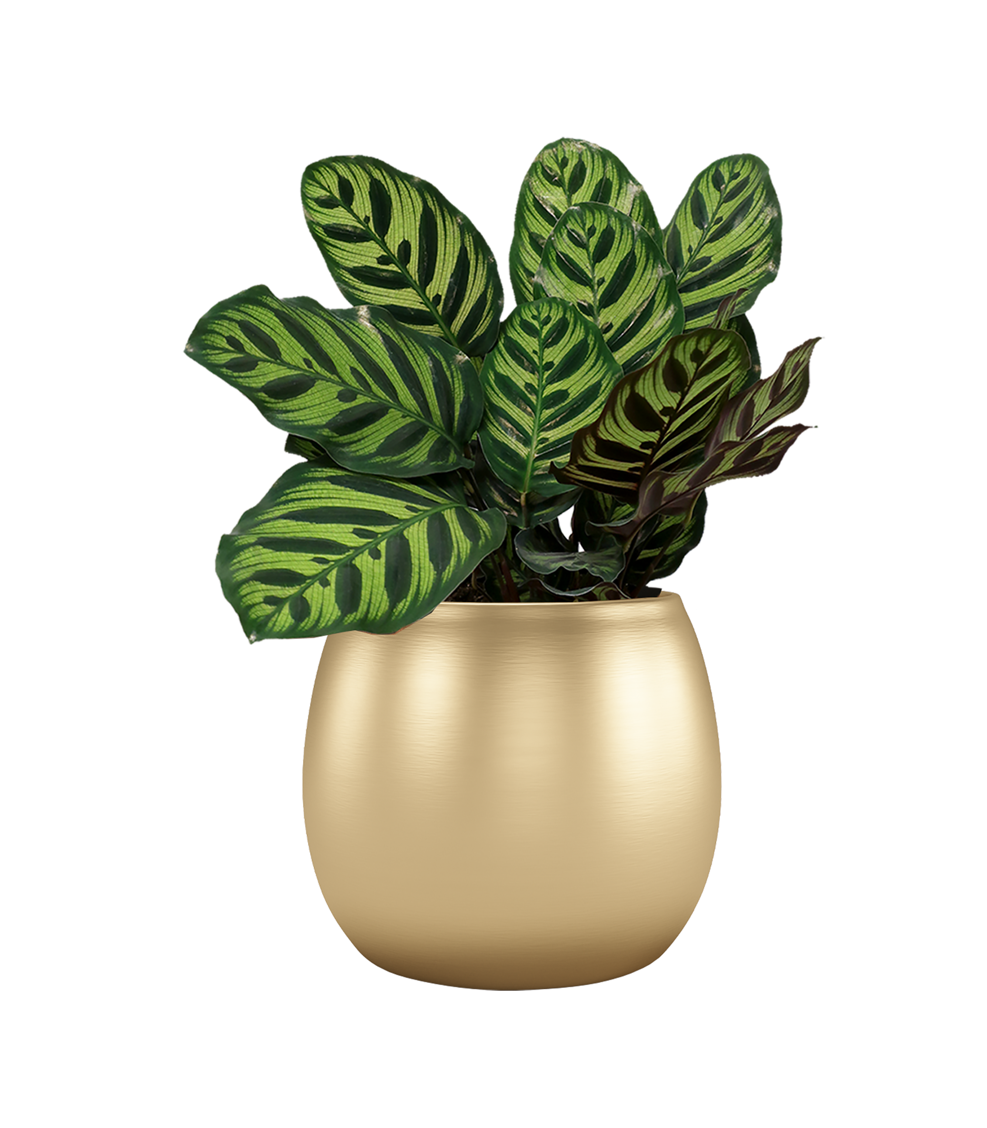 Vaso de cerâmica HERA 22CM OURO - 5