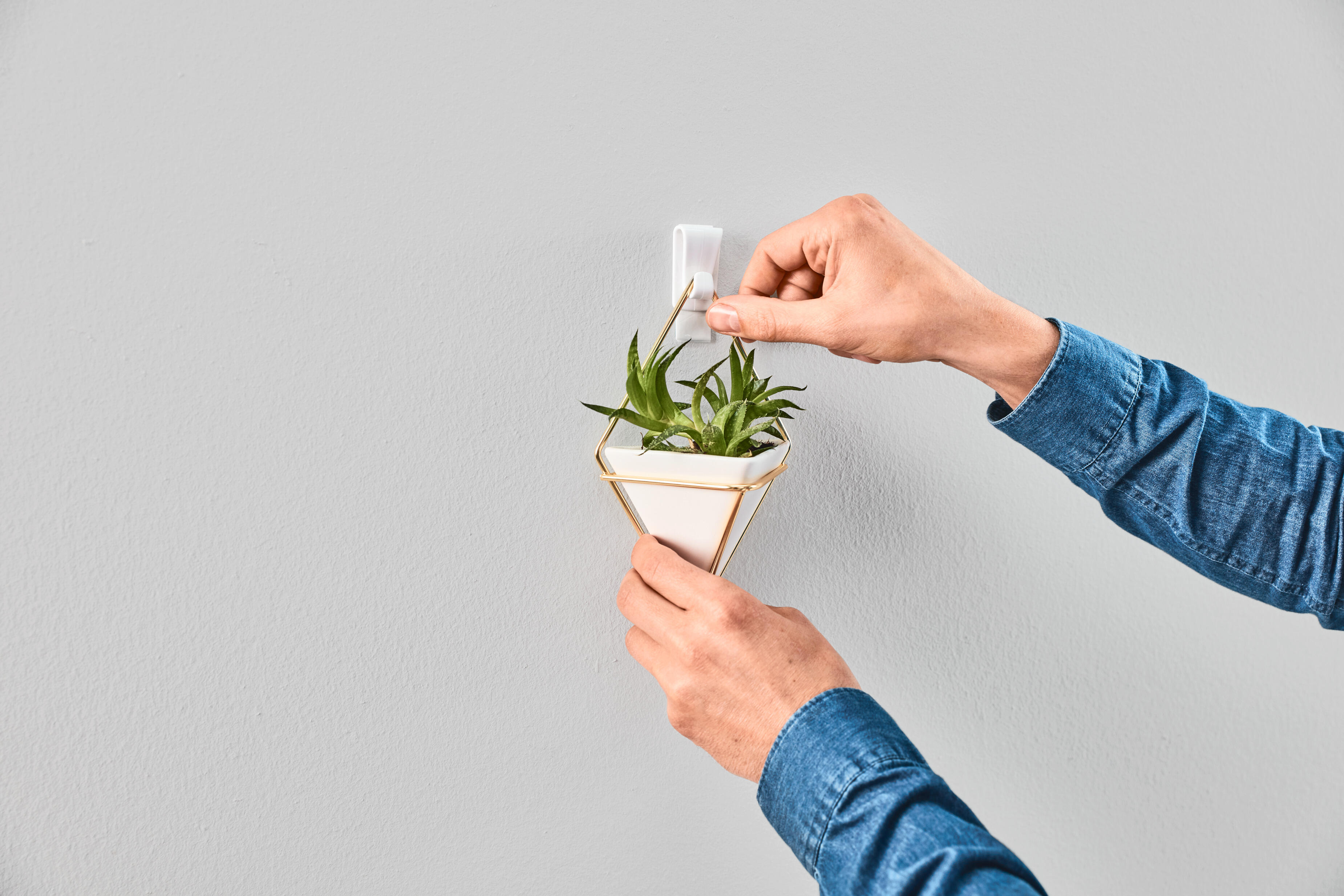 2 Ganchos adesivos retangulares branco 0,5 kg Tesa - 7