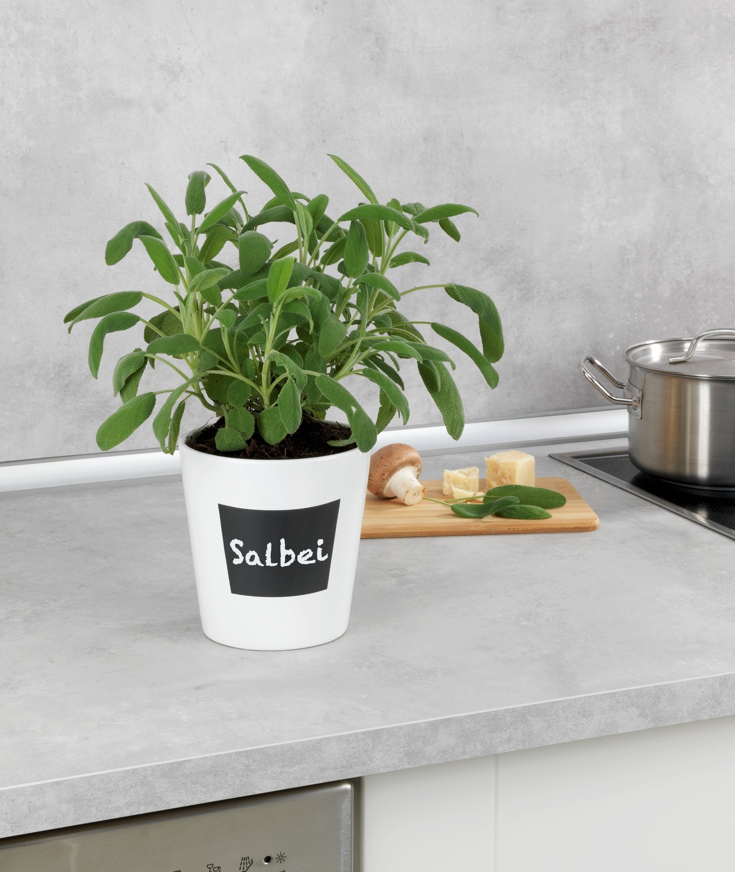 Lot De 3 Récipients De Conservation Pour Herbes CALIBAN - Garde Coriandre, Menthe, Asperges Fraîches