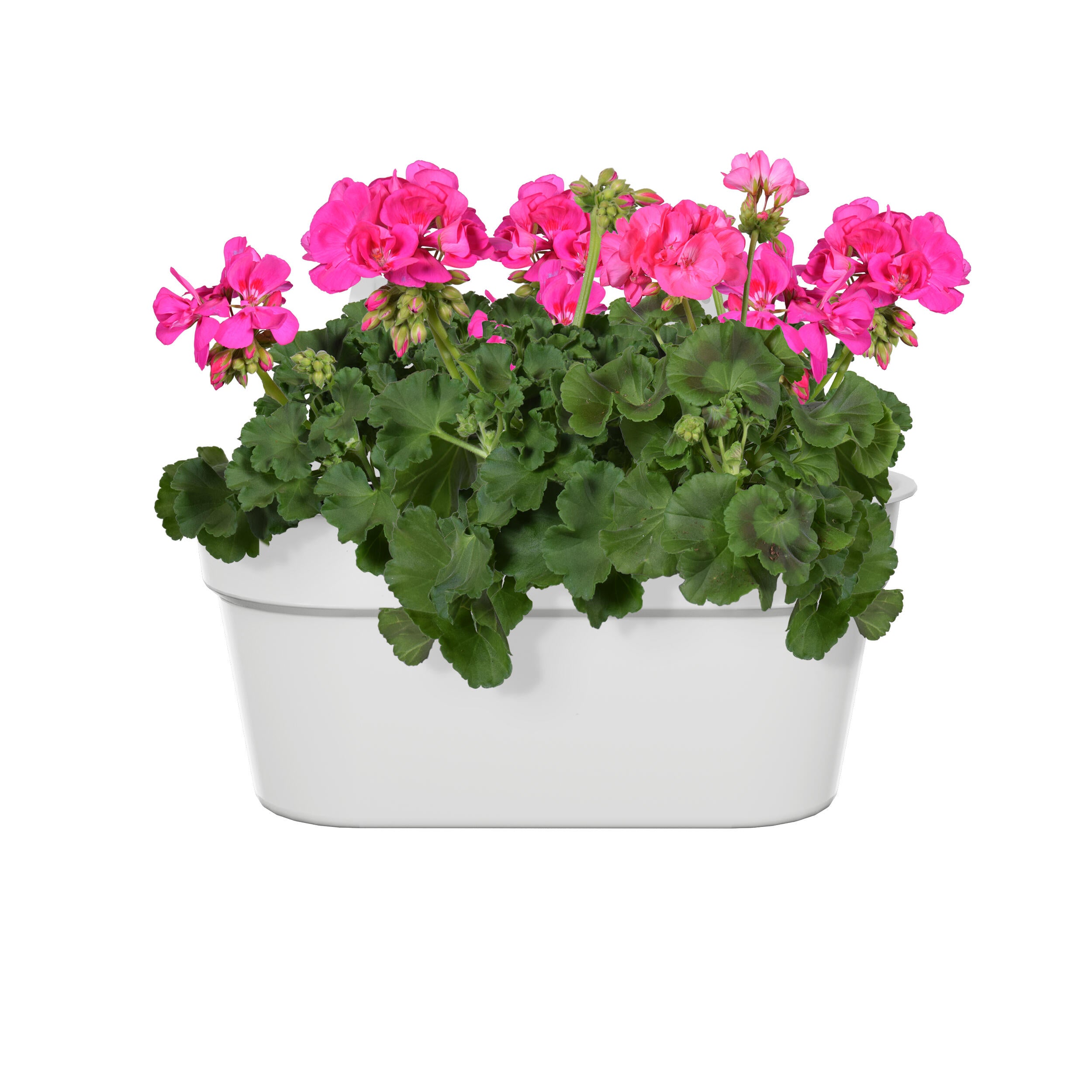 Jardinière balcon plastique NATERIAL L.35 x l.26.6 x H.24.8 cm blanc - 2