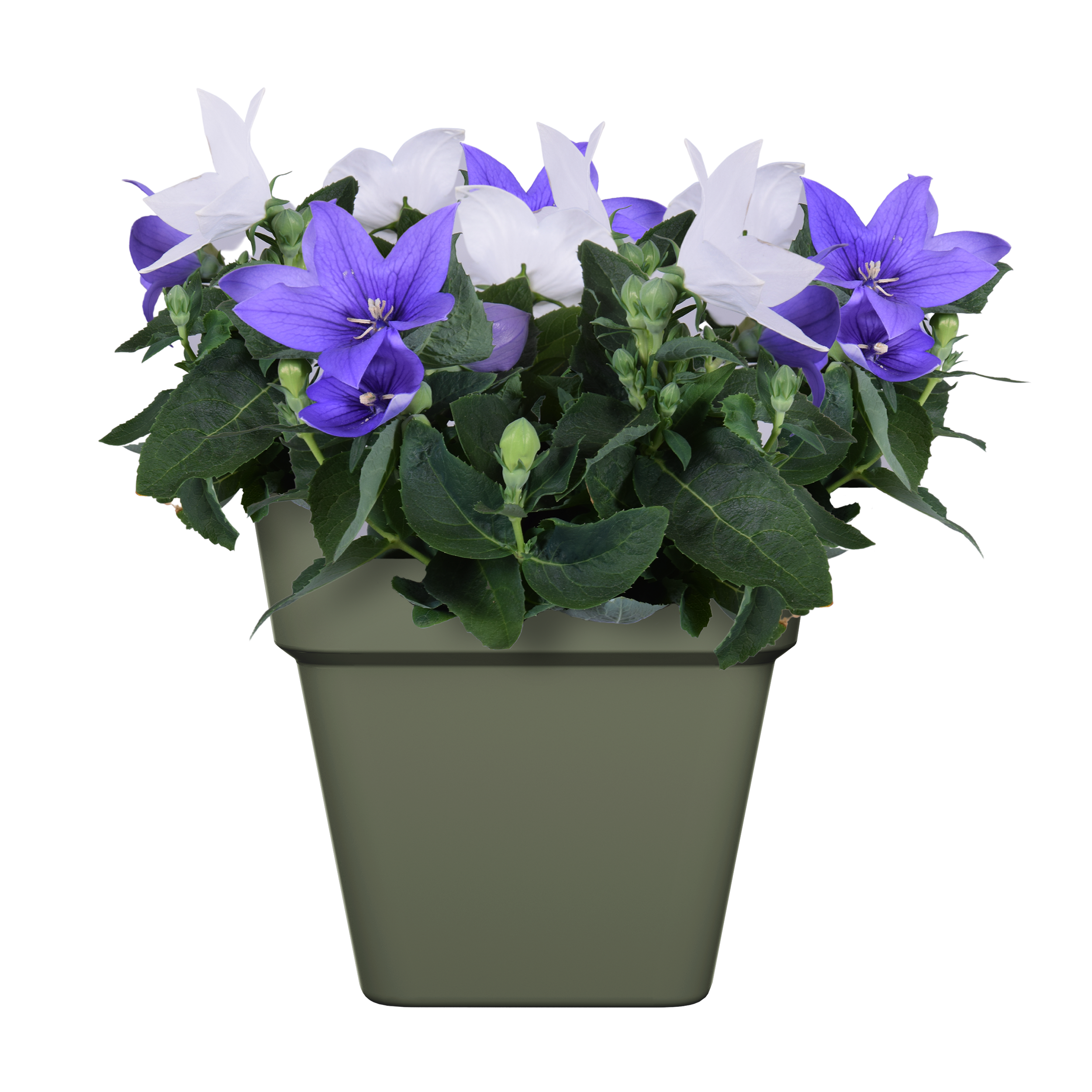 Pot de fleur carré NATERIAL L. 29.5 x l. 29.5  x H.28 cm vert olive - 2