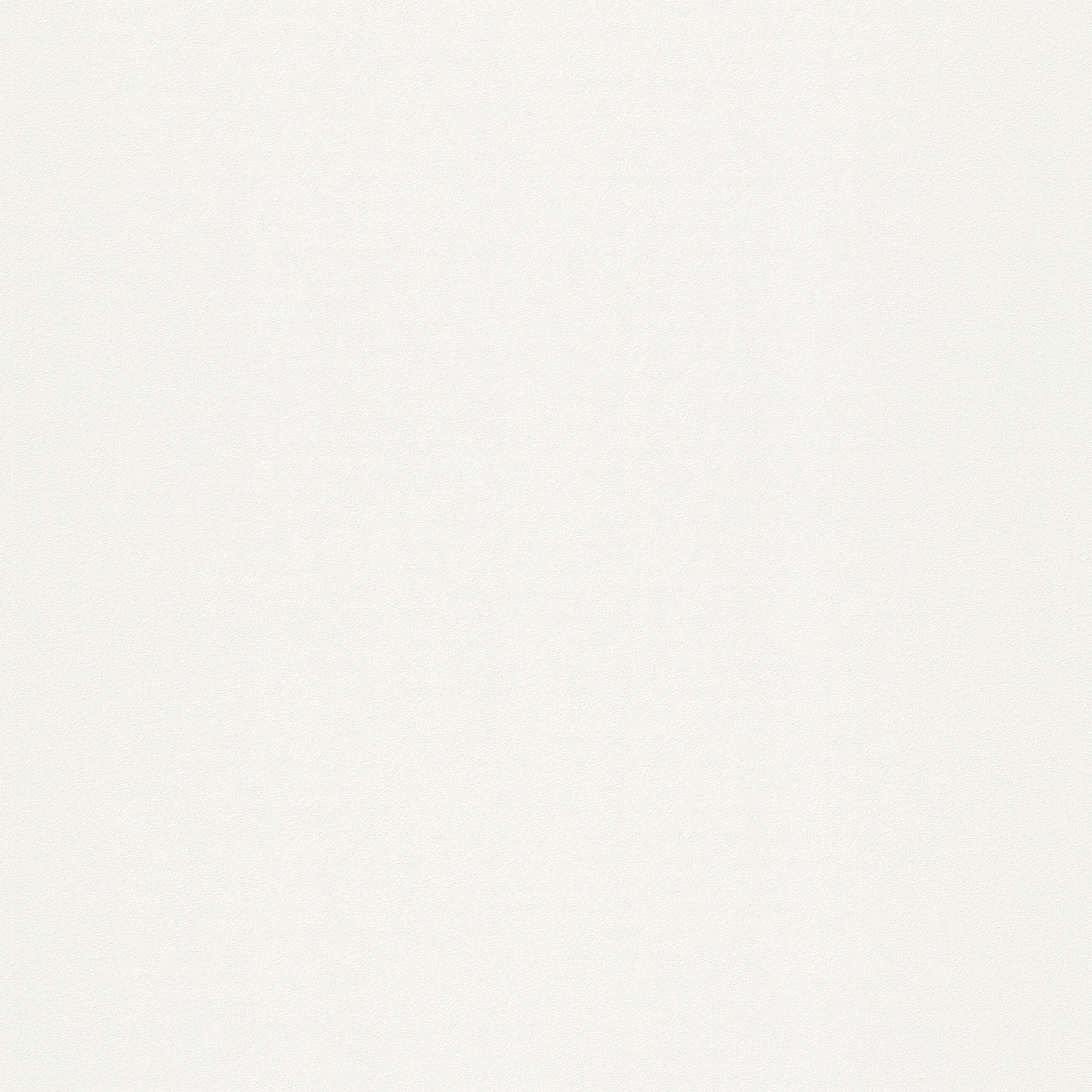 Papier peint intissé Lisse mat INSPIRE blanc - 12