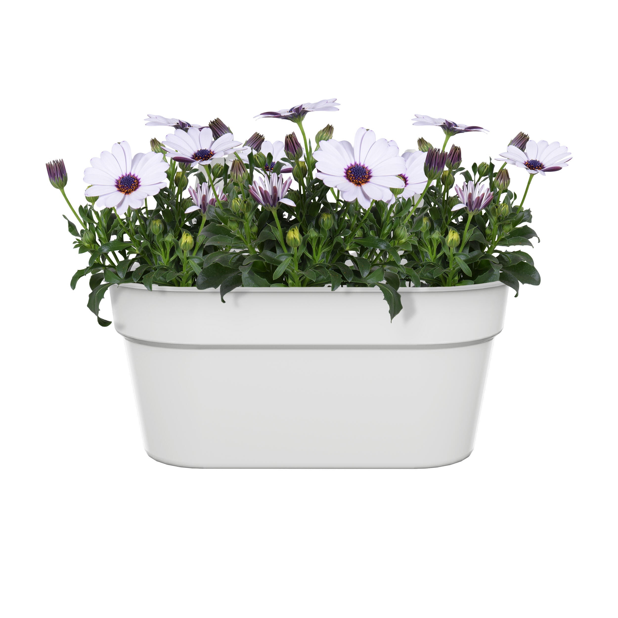 Jardinière balcon plastique NATERIAL L.35 x l.26.6 x H.24.8 cm blanc - 3