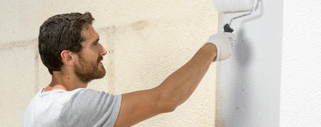 preparate para pintar