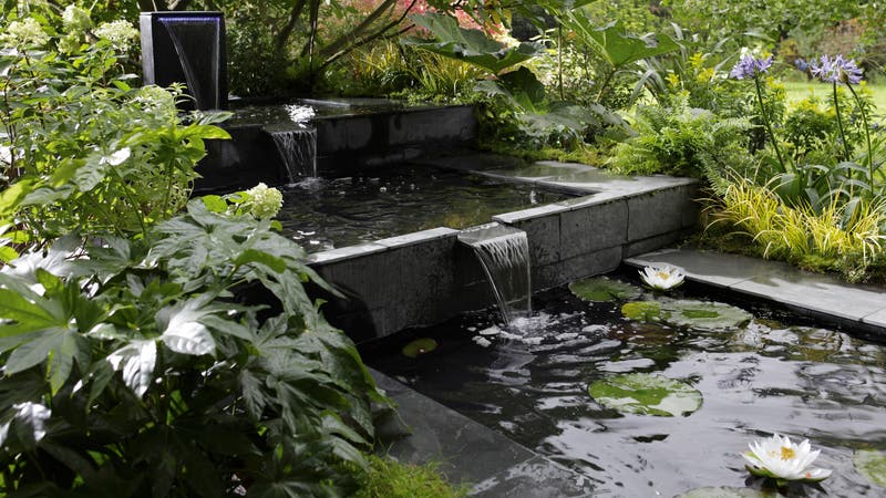 Las mejores 120 ideas de Estanques de jardín  estanques de jardín,  estanques, fuentes para jardin