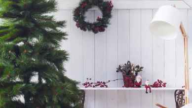 Cómo cuidar un árbol de Navidad natural? | Leroy Merlin
