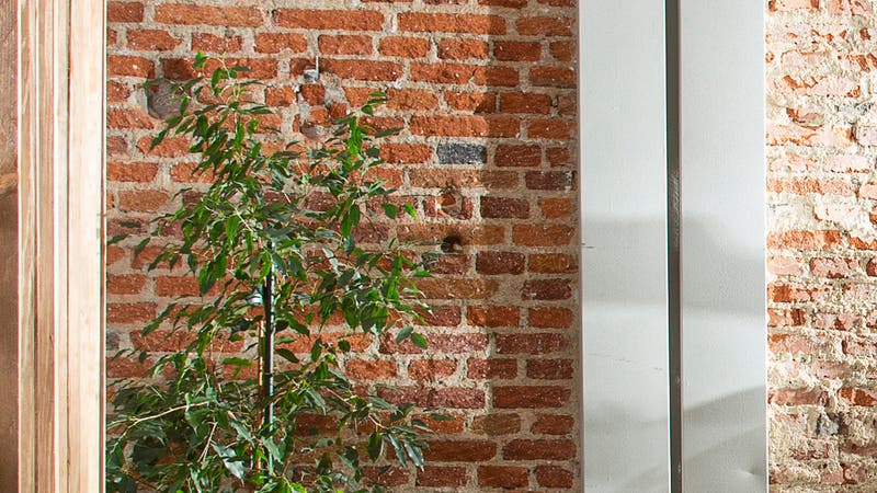 Llena de cojines tu jardín o terraza! |