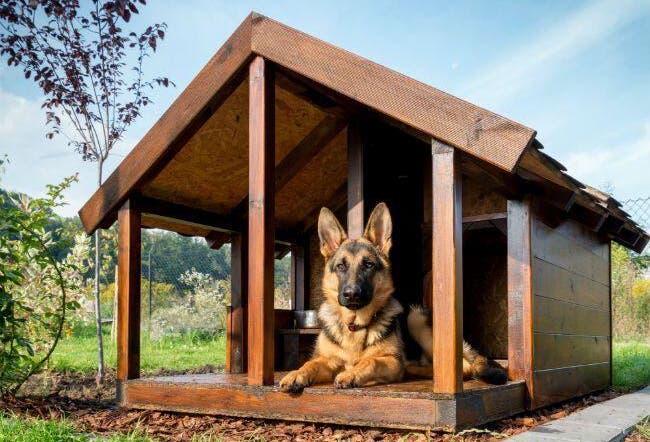 Casas para Perros, Ideas, Los Mejores Diseños