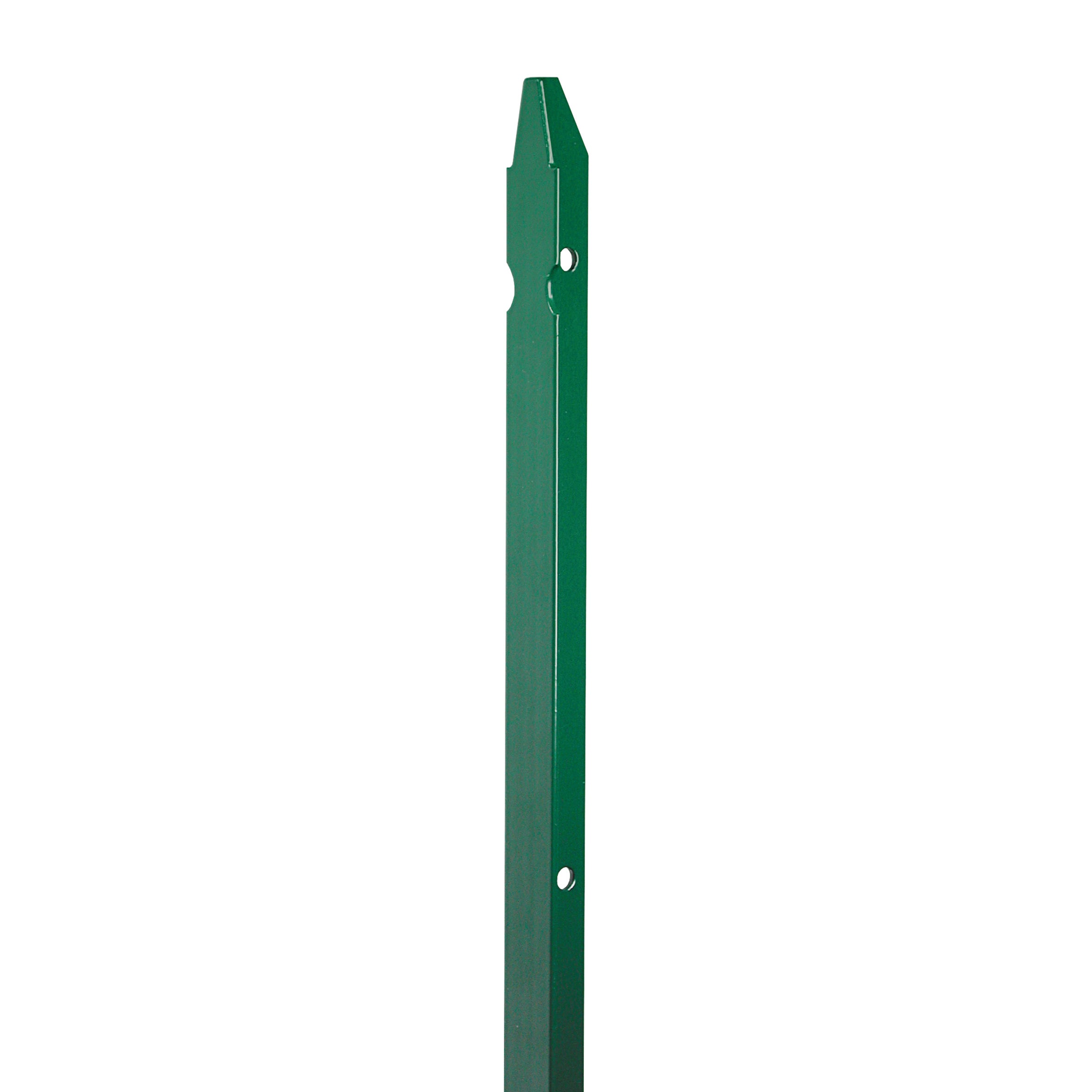 Palo a t in acciaio FERRO BULLONI plastificato verde H 150 x L 3 cm - 5
