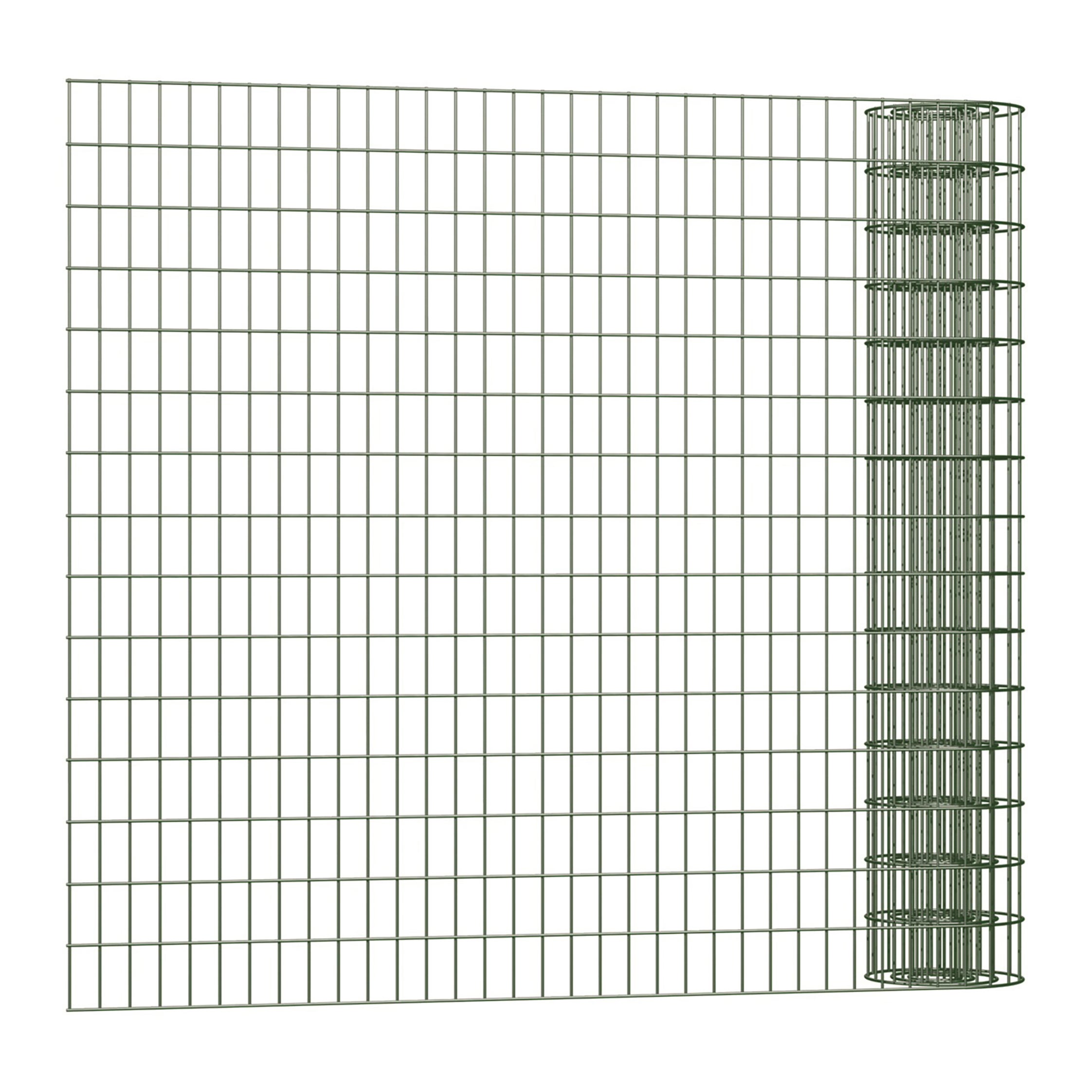 Rotolo Di Rete Metallica Elettrosaldato Executive Standard ECO Verde L 25 X H 1 M Maglia L50x75h Mm 35558600