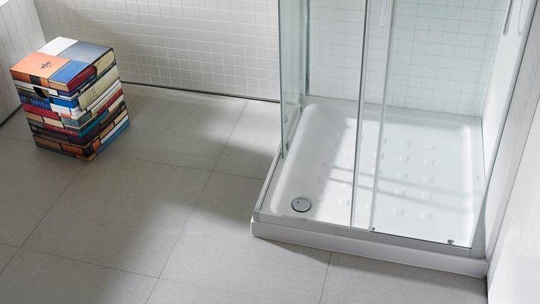 Sumidero de ducha Dallmer - DN 50 vertical - para plato de ducha con  orificio de desagüe de