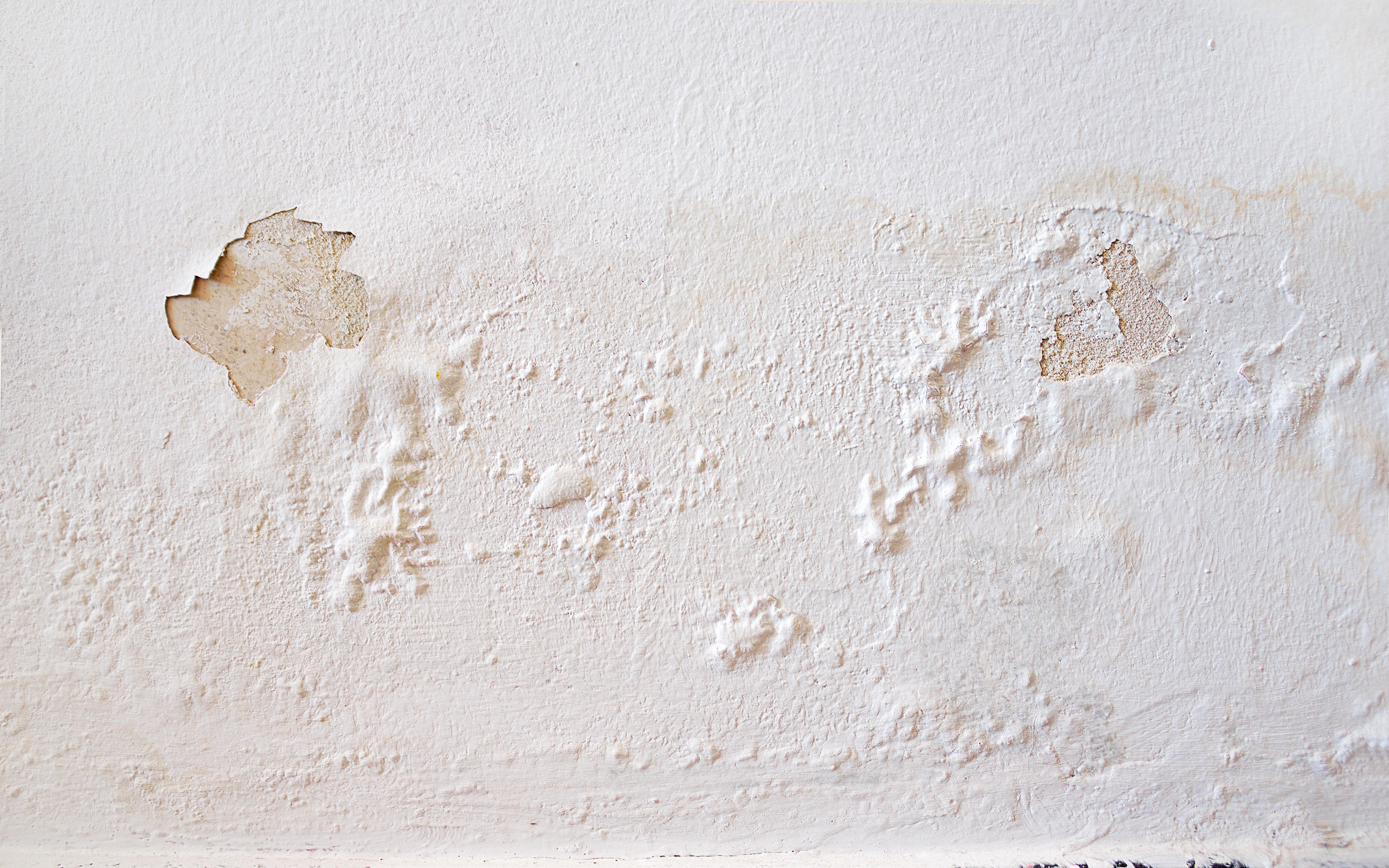 Cómo eliminar el moho de la pared de manera definitiva – Humedades