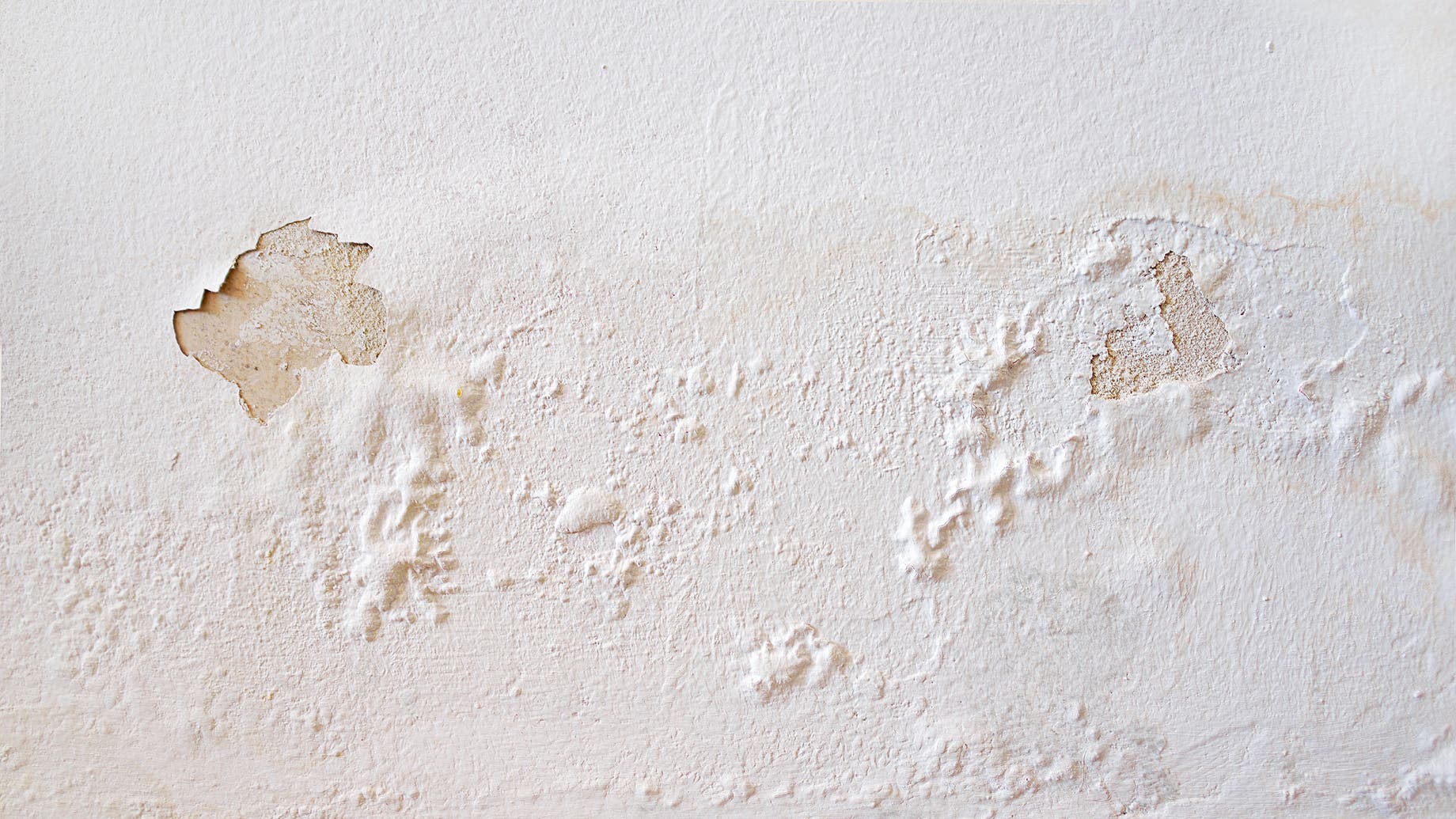 Eliminar el moho en la pared de la habitación