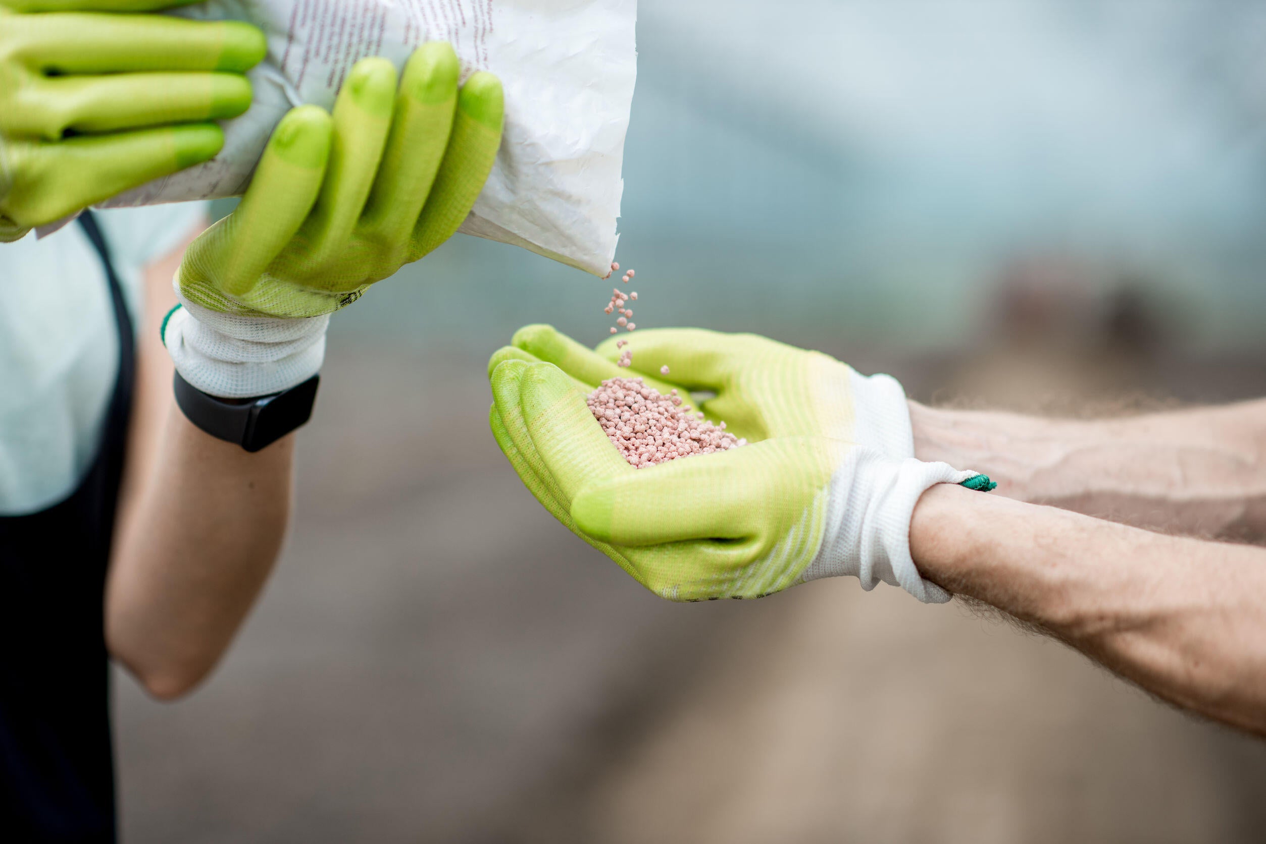 Cómo Elegir Tus Abonos Y Fertilizantes | Leroy Merlin