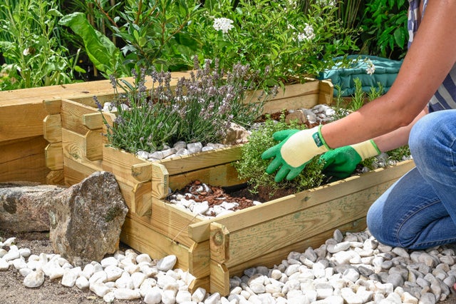 huerto y plantas 
