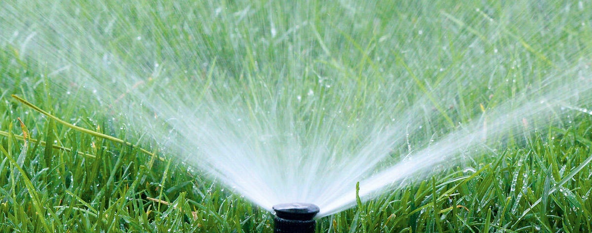 El riego del césped | Leroy Merlin