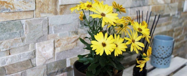 Cómo conservar flores cortadas por más tiempo