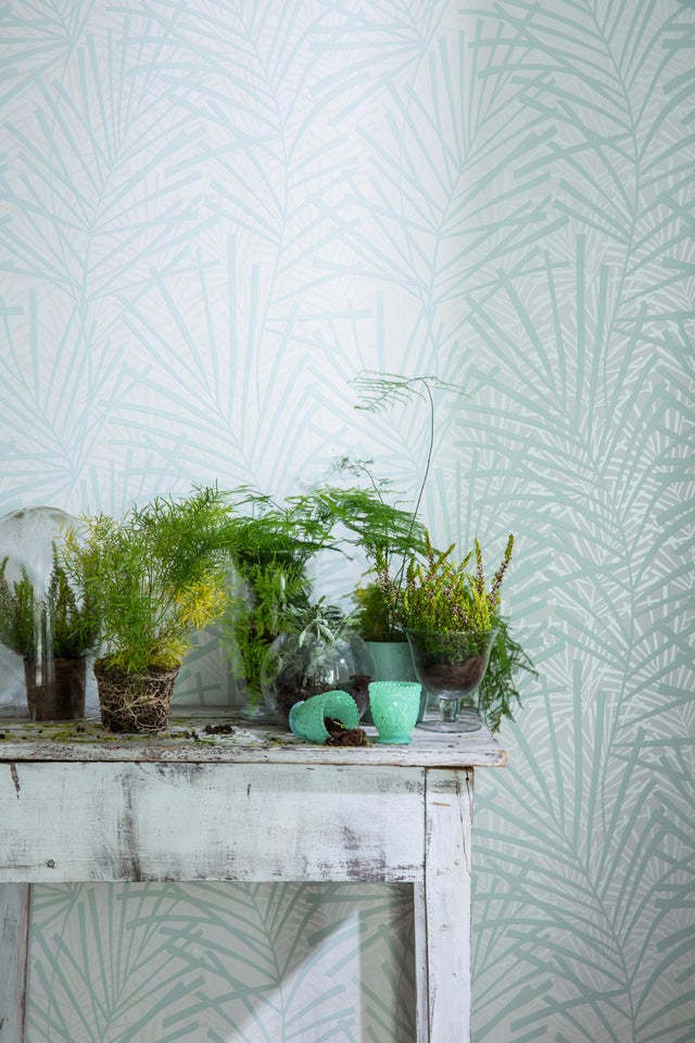 Mitos y verdades sobre las plantas