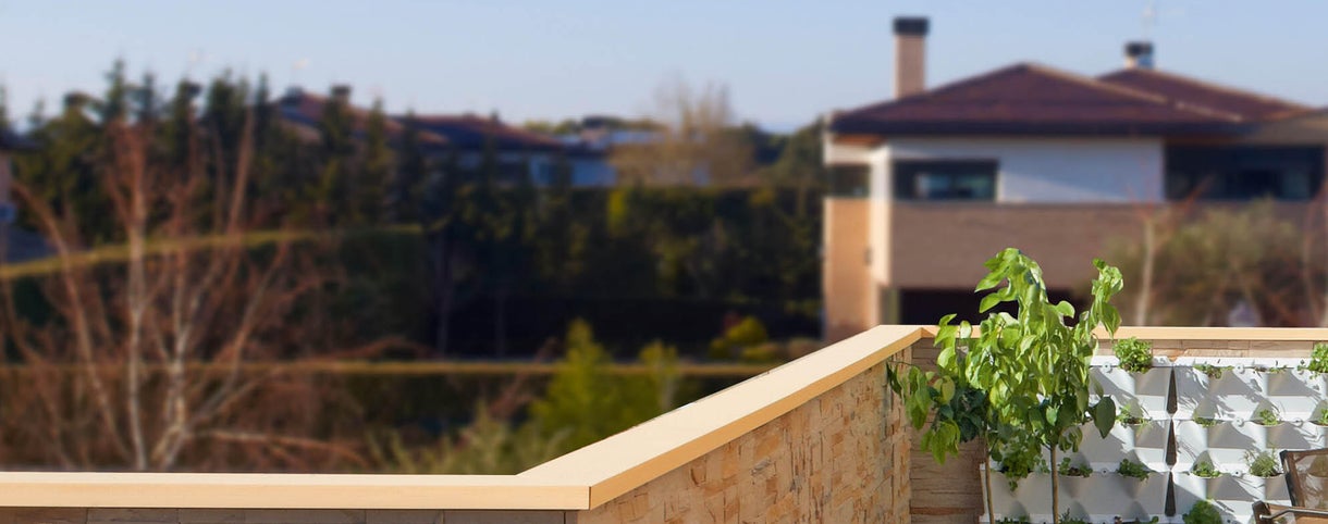 Cómo montar un huerto urbano en tu propia casa o en una terraza