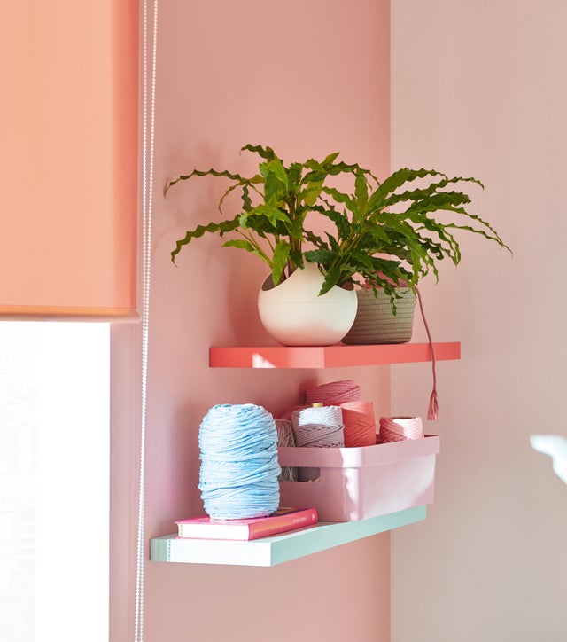 Mitos y verdades sobre las plantas