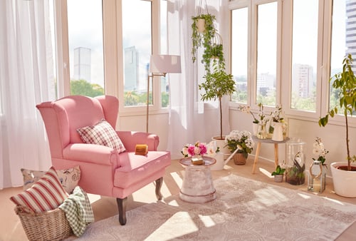 Plantas de interior: la naturaleza entra en tu casa