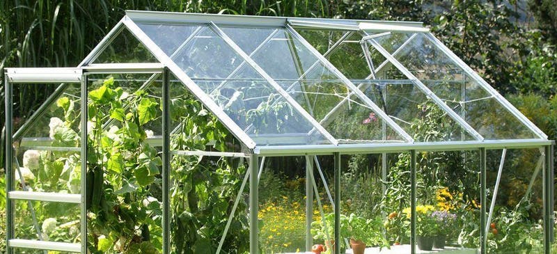 Tidyard Invernadero con puerta y rejilla de ventilación de techo, tablero  de PC, jardinería, hierbas al aire libre, flores, vegetales, casa para