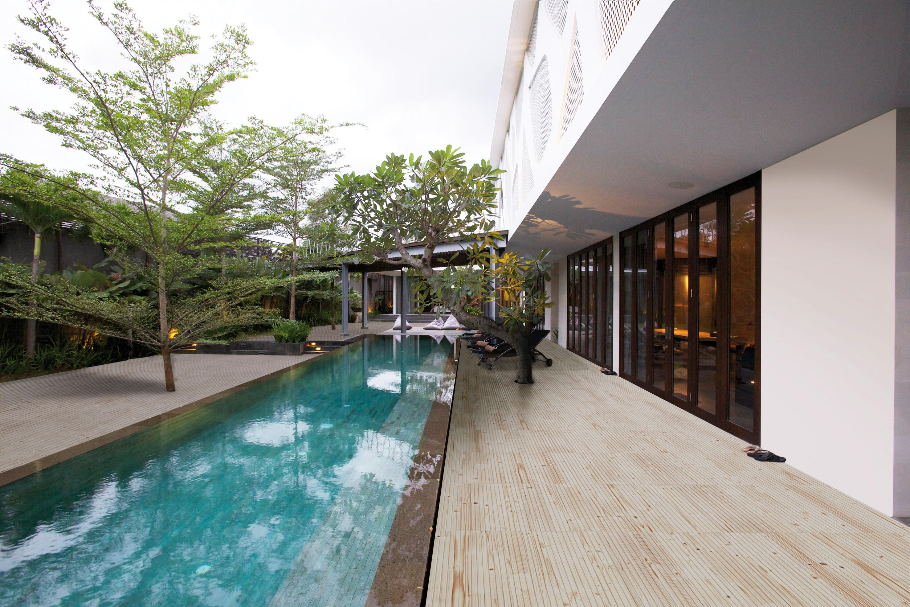 Amazonia - 1