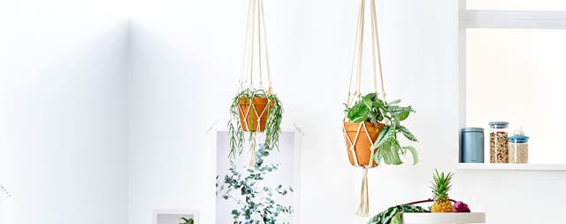 Workshop - Como fazer um suporte de vaso em macramé