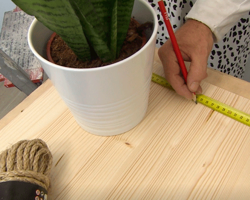 Vaso branco com planta natural por cima de um painel de pinho